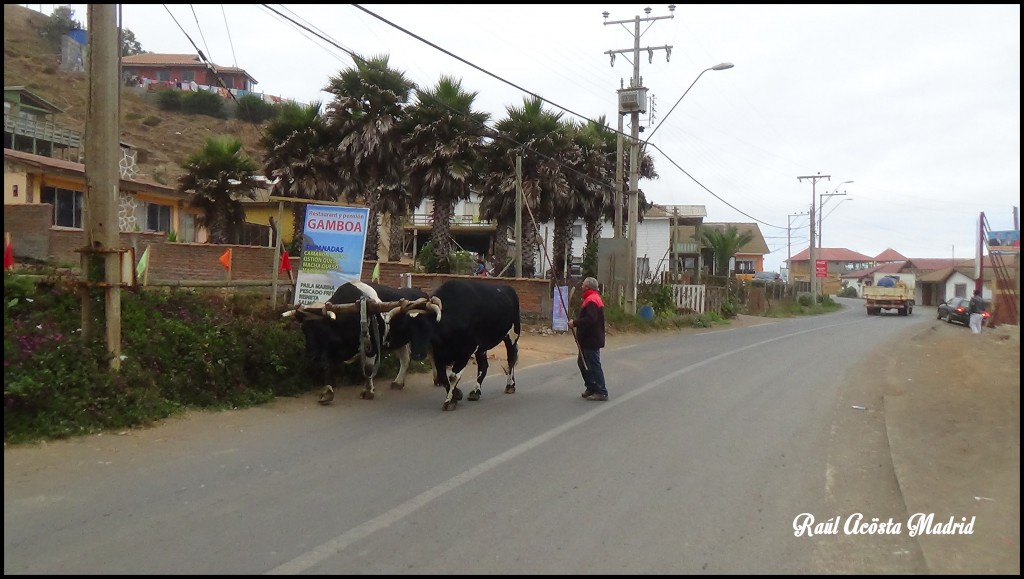 Foto de Duao (Maule), Chile