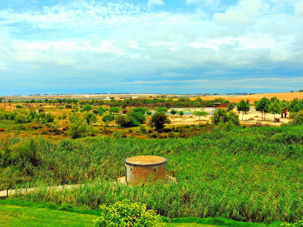 Foto de Palos de la Frontera (Huelva), España