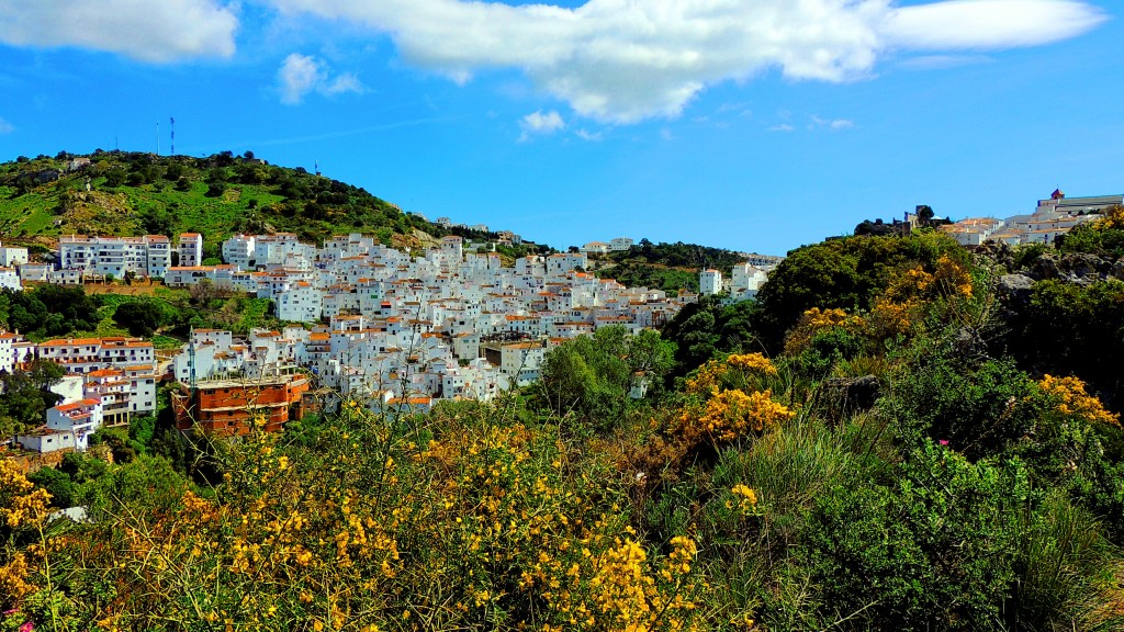 Foto de Casáres (Málaga), España