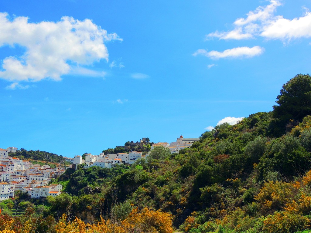 Foto de Casáres (Málaga), España