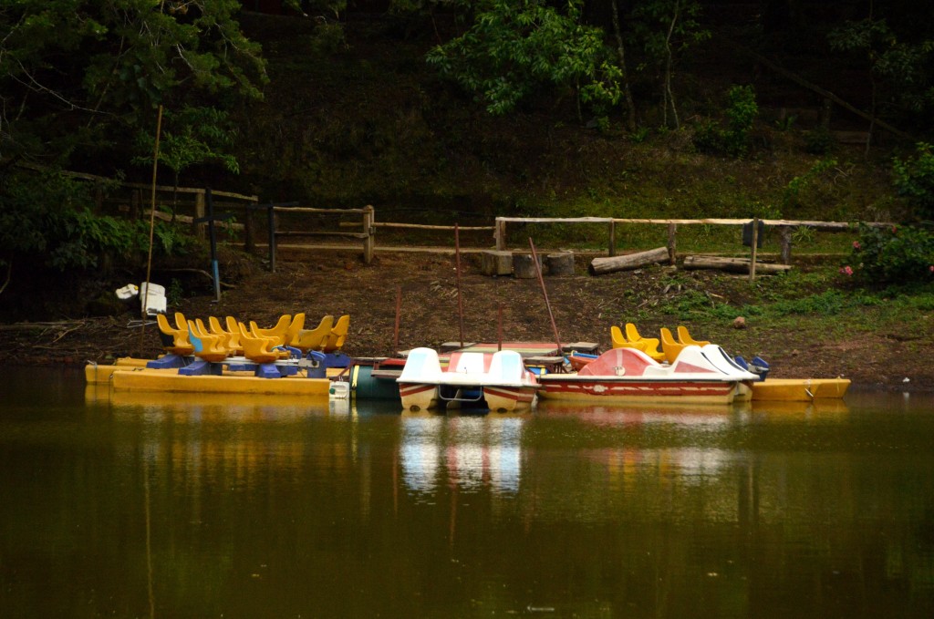 Foto: BOTES - Alajuela, Costa Rica