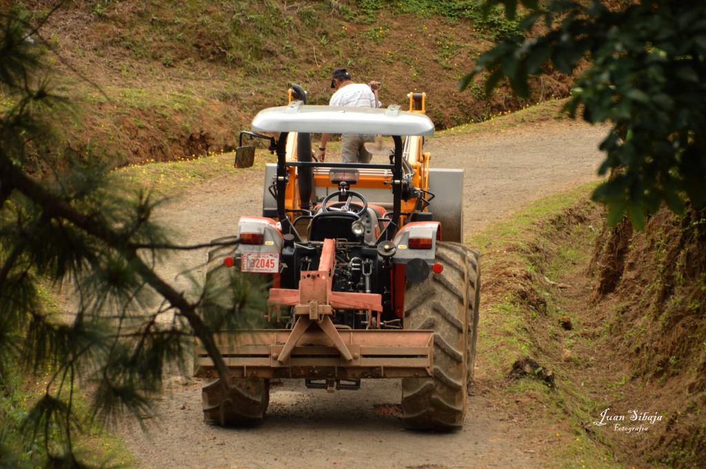 Foto: CHAPULIN - Alajuela, Costa Rica