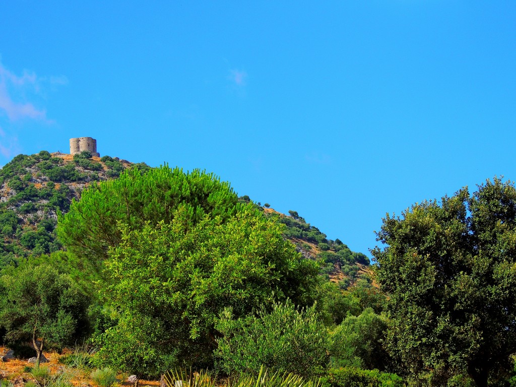 Foto: Mont Acut - Montellano (Sevilla), España