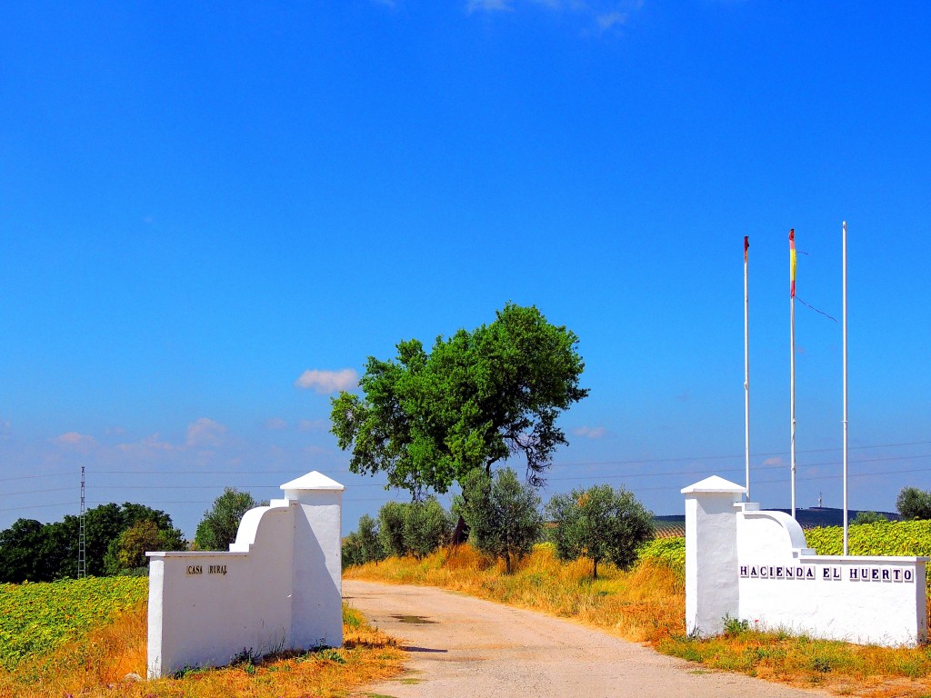 Foto: Hacienda el Huerto - Montellano (Sevilla), España