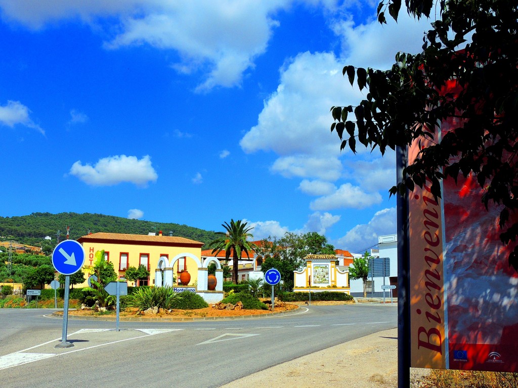 Foto: Llegada a Montellano - Montellano (Sevilla), España