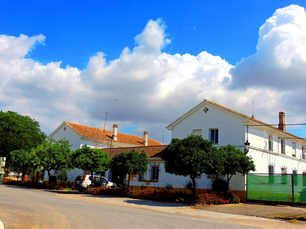 Foto: Benemérita - Montellano (Sevilla), España