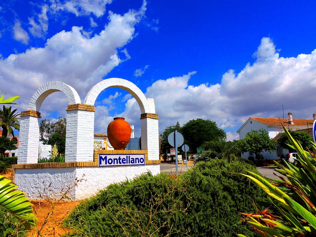 Foto: Rotonda de Entrada - Montellano (Sevilla), España