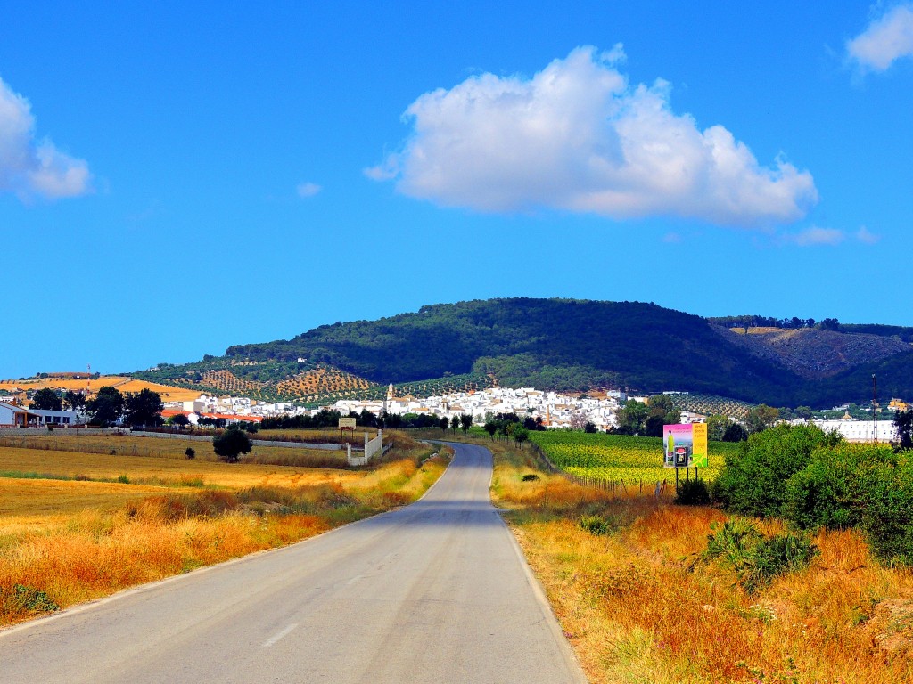 Foto: Carretera a Montellano - Montellano (Sevilla), España