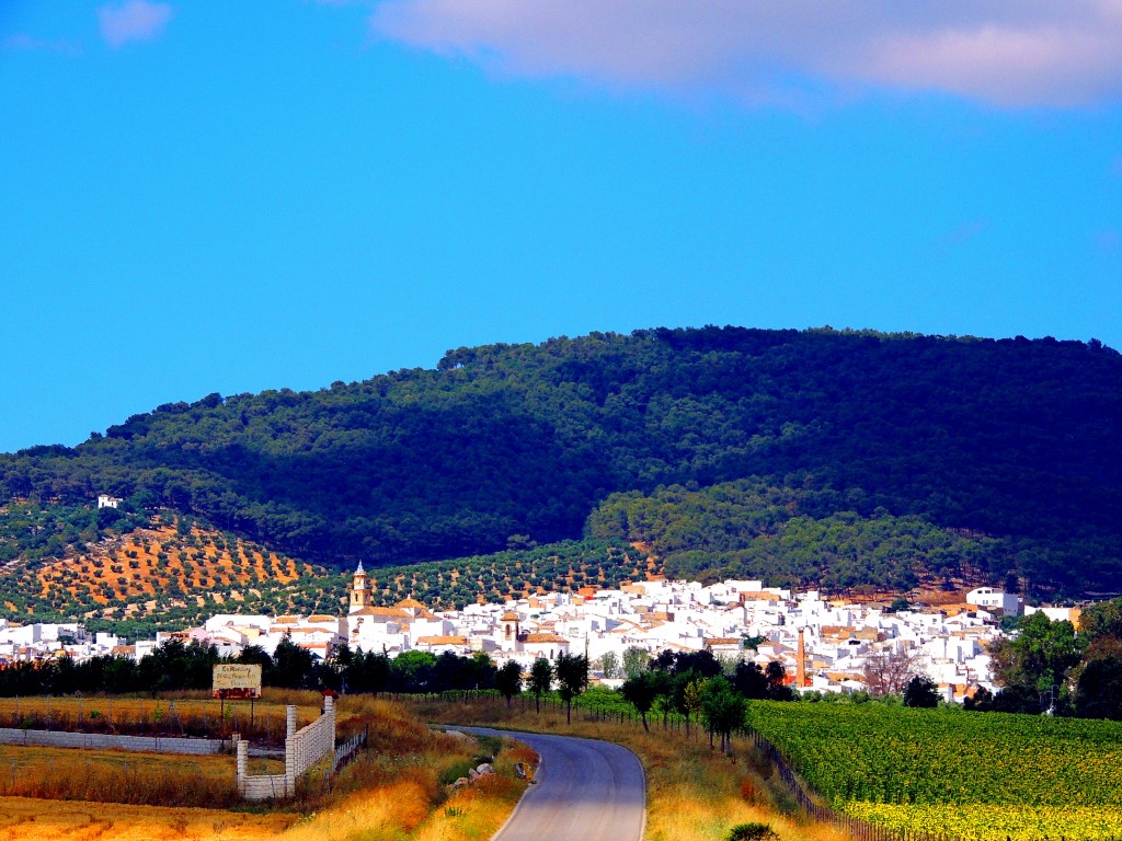 Foto: Panorámica - Montellano (Sevilla), España