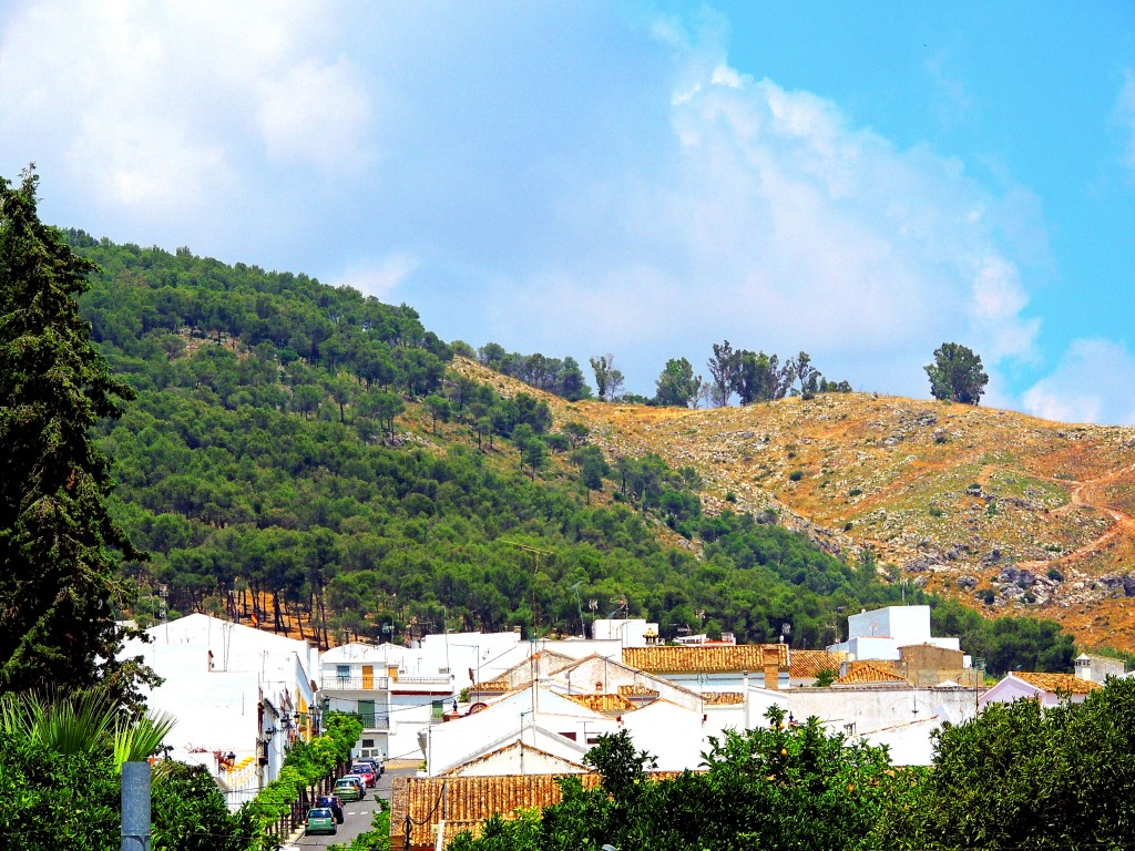 Foto de Montellano (Sevilla), España