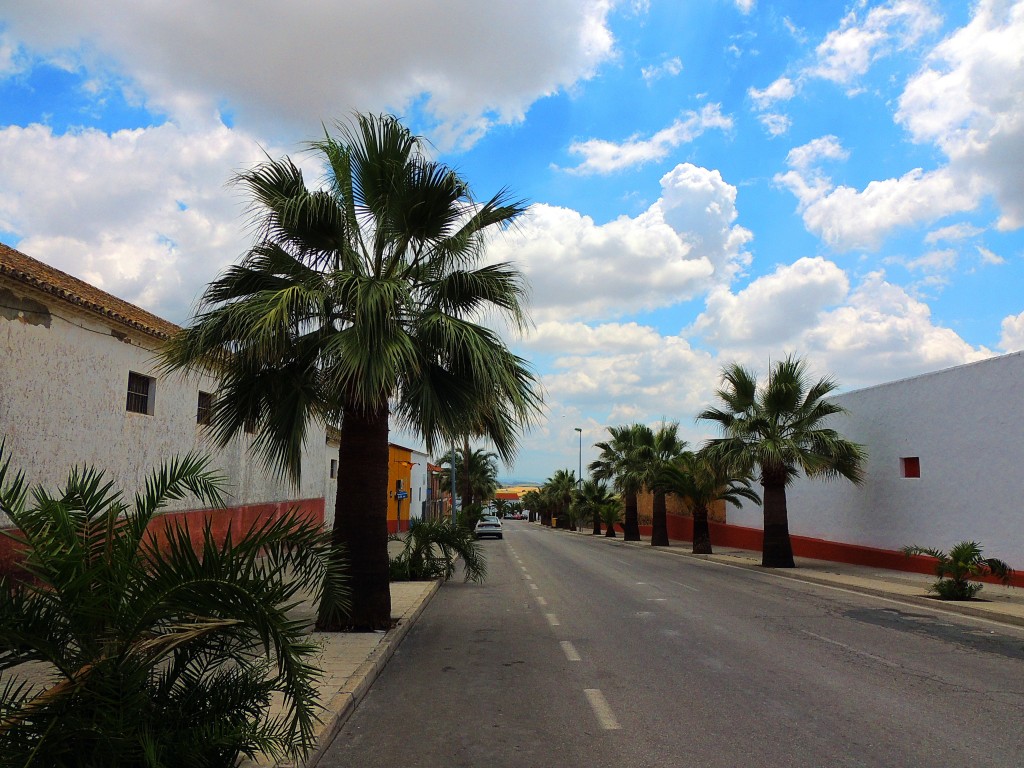 Foto: Calle Villamartin - Montellano (Sevilla), España