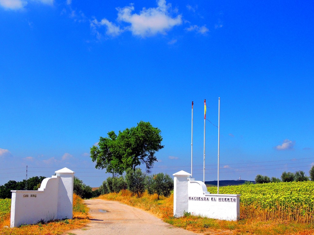 Foto: Hacienda el Huerto - Montellano (Sevilla), España