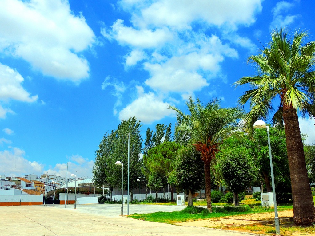 Foto de Montellano (Sevilla), España