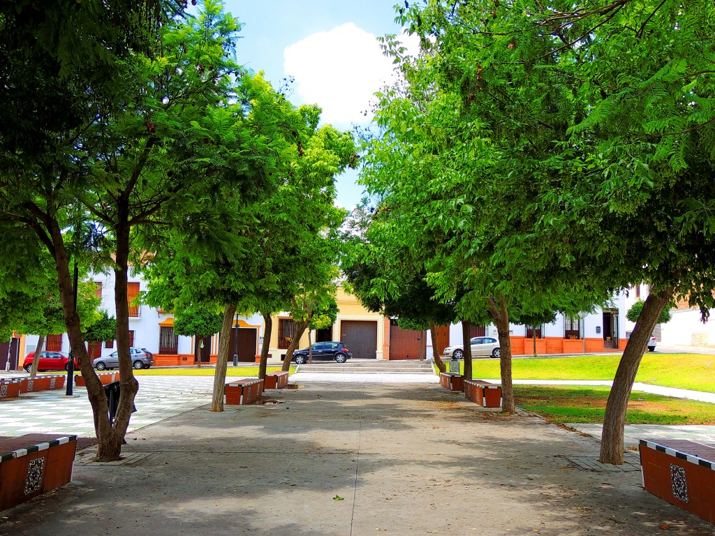 Foto de Montellano (Sevilla), España