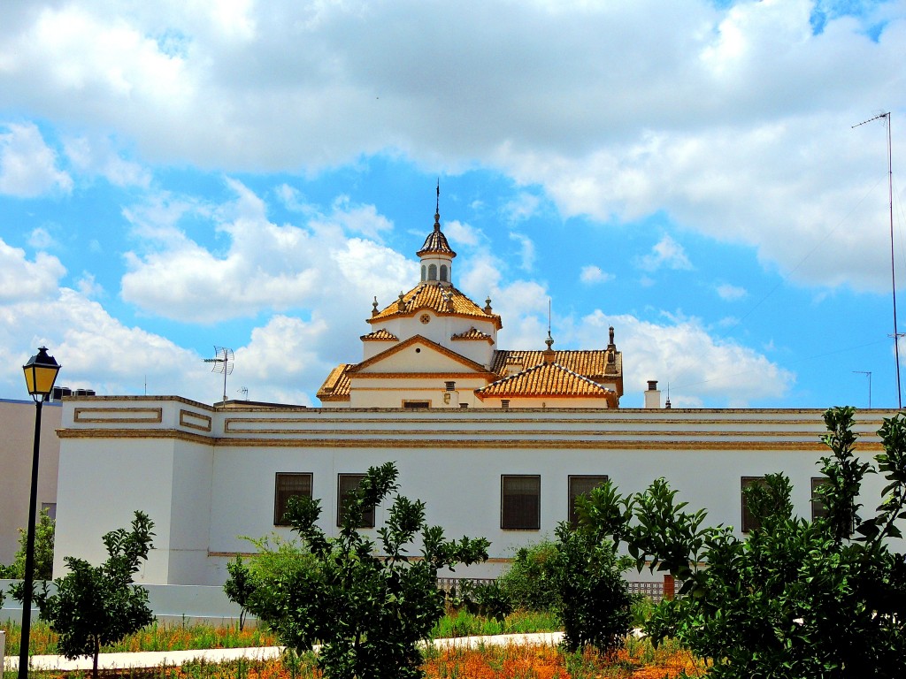 Foto de Montellano (Sevilla), España