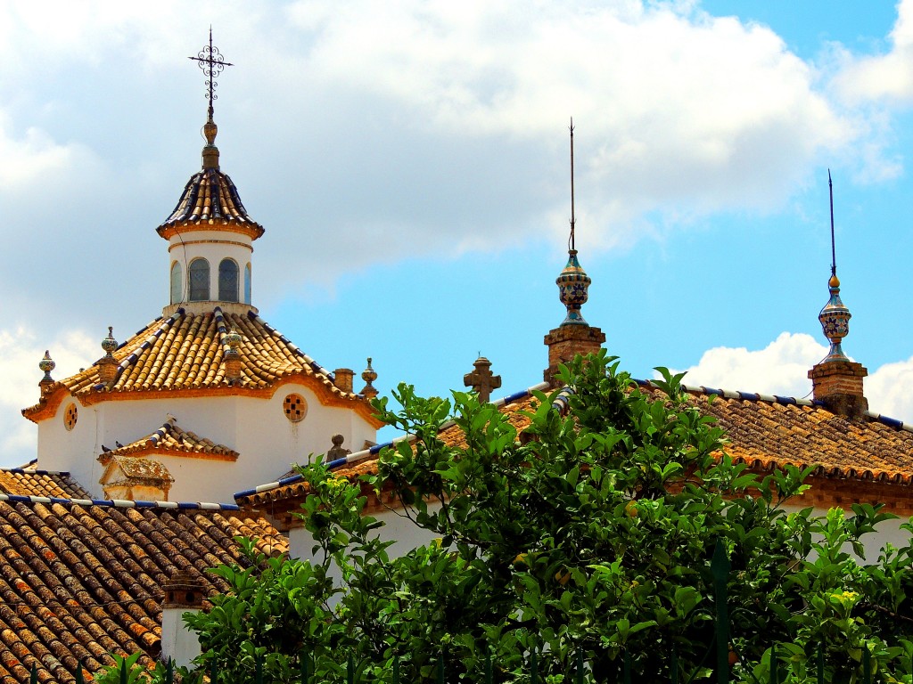 Foto de Montellano (Sevilla), España