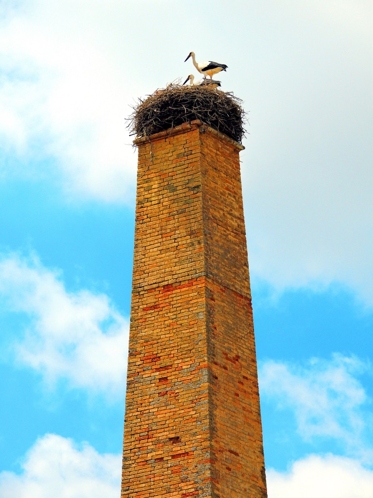 Foto: Torre-Chimenea - Montellano (Sevilla), España