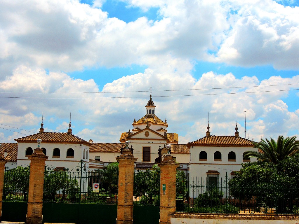 Foto: Residencia de Ancianos - Montellano (Sevilla), España