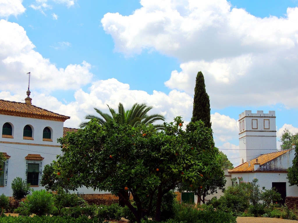 Foto de Montellano (Sevilla), España