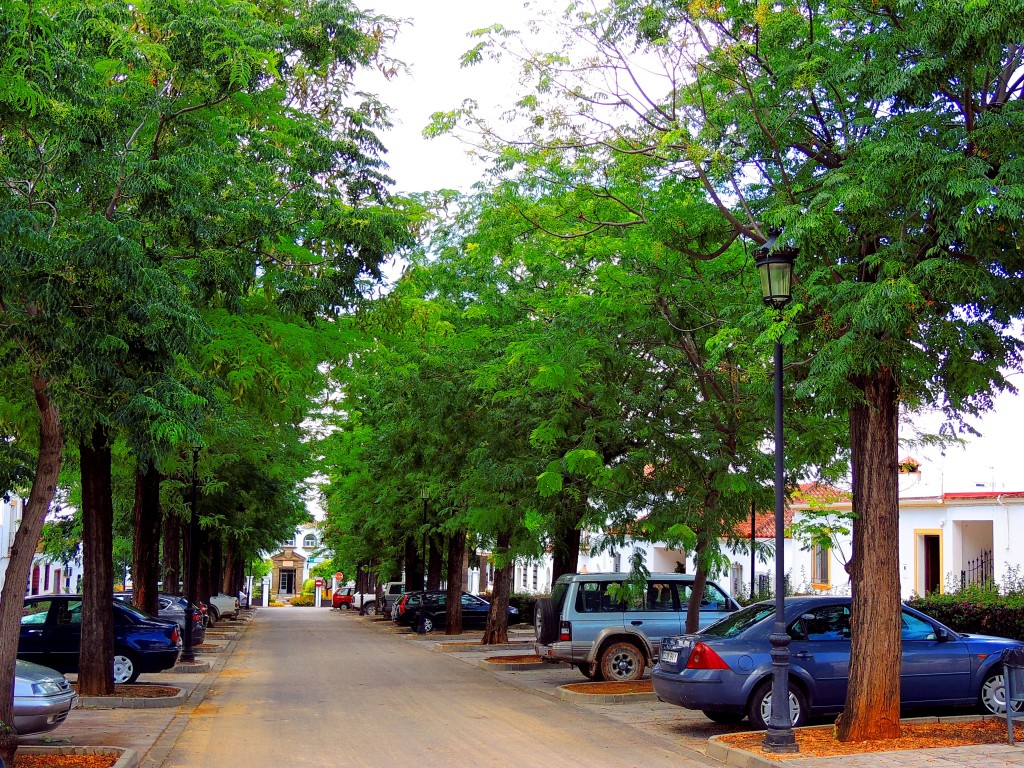 Foto: Calle Maternidad - Montellano (Sevilla), España