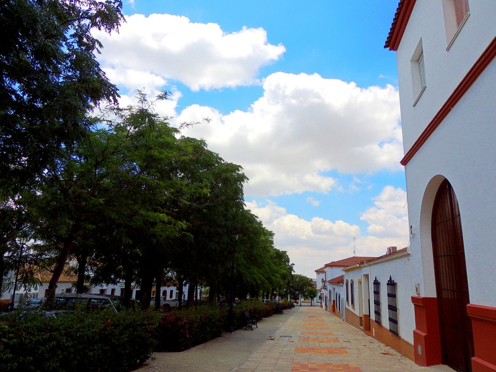 Foto: Calle Maternidad - Montellano (Sevilla), España