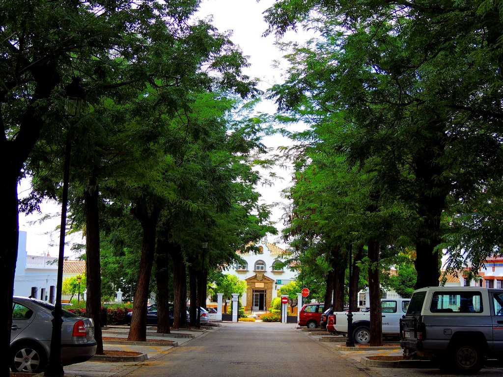 Foto: Calle Maternidad - Montellano (Sevilla), España