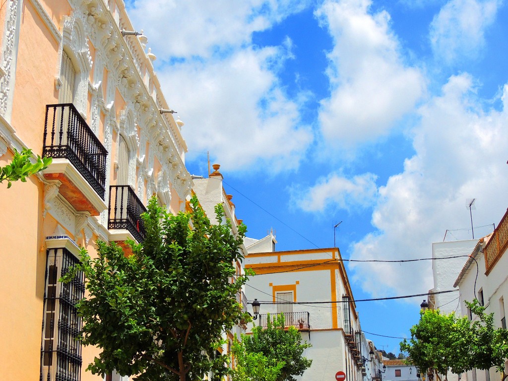 Foto: Detalles Cornisas - Montellano (Sevilla), España