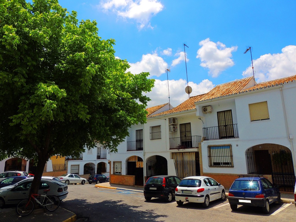 Foto: Plaza Luis Braile - Montellano (Sevilla), España