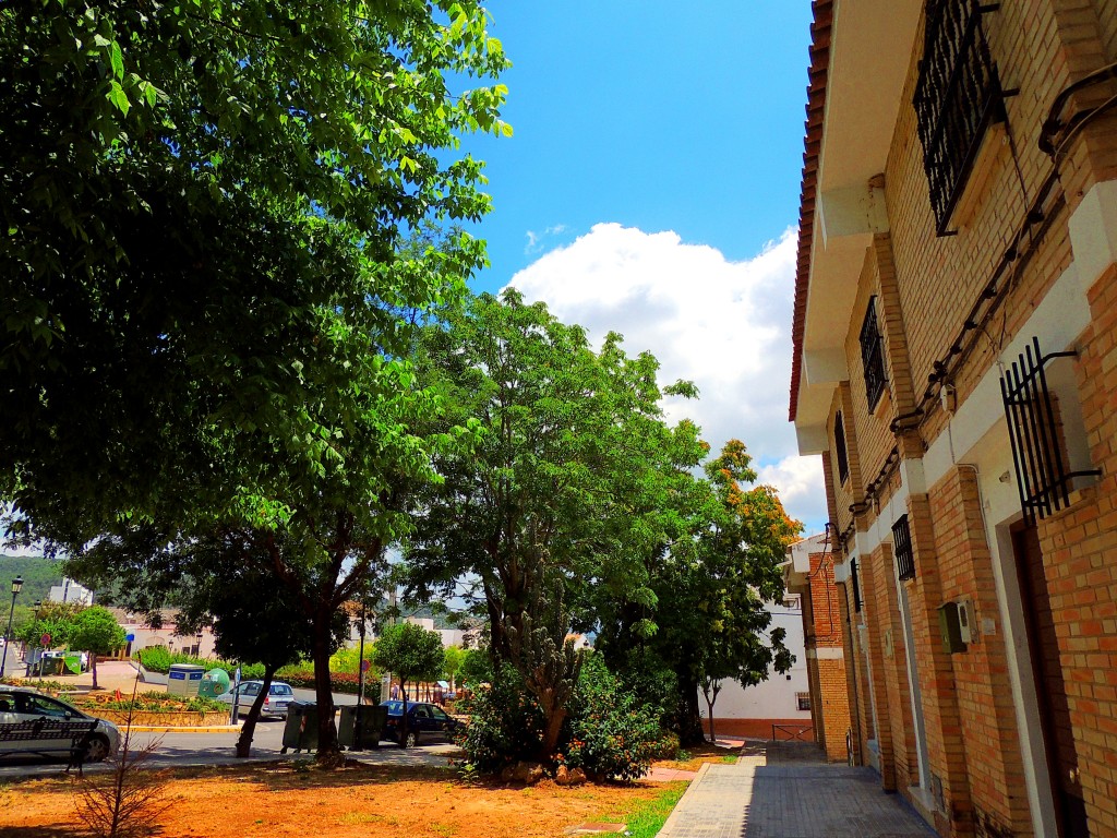 Foto: Calle Féria - Montellano (Sevilla), España