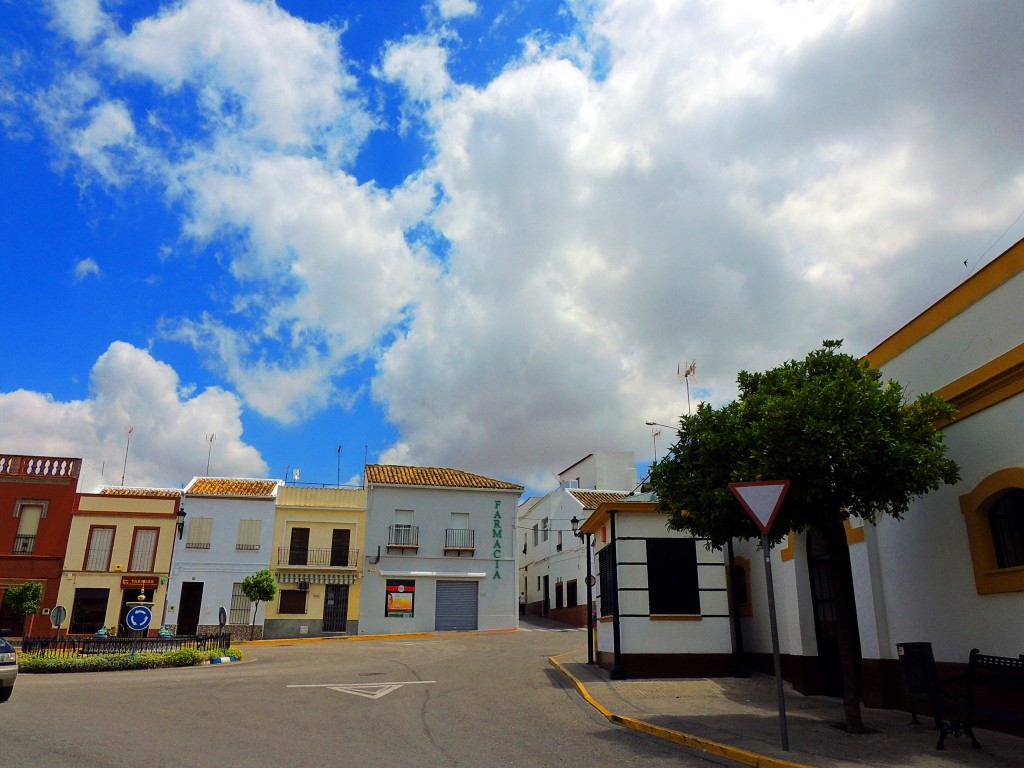 Foto: Plaza Andalucía - Montellano (Sevilla), España