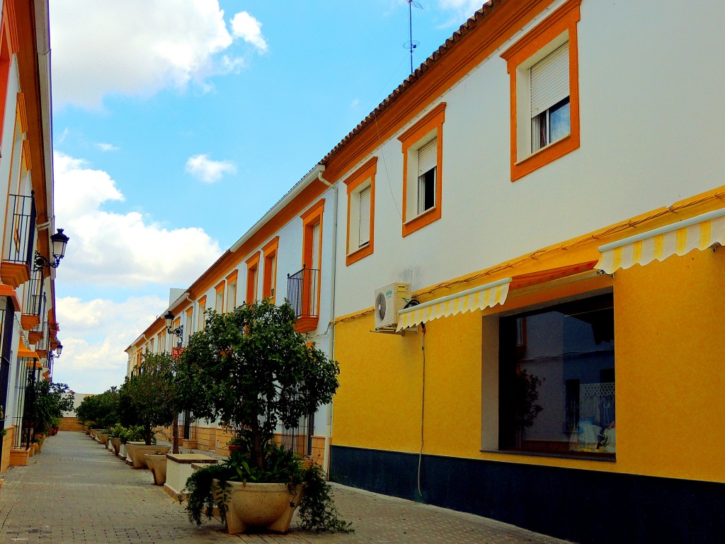 Foto: El Paseo - Montellano (Sevilla), España