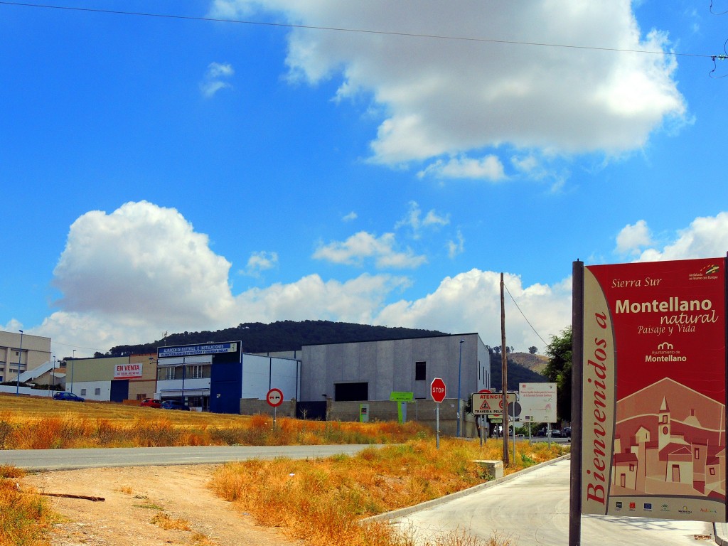 Foto: Bienvenida - Montellano (Sevilla), España