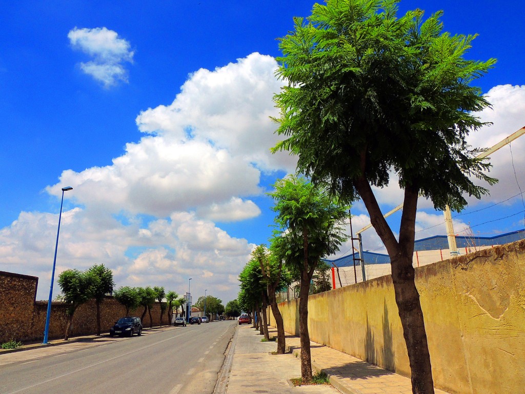 Foto: Carretera de las Cabezas - Montellano (Sevilla), España