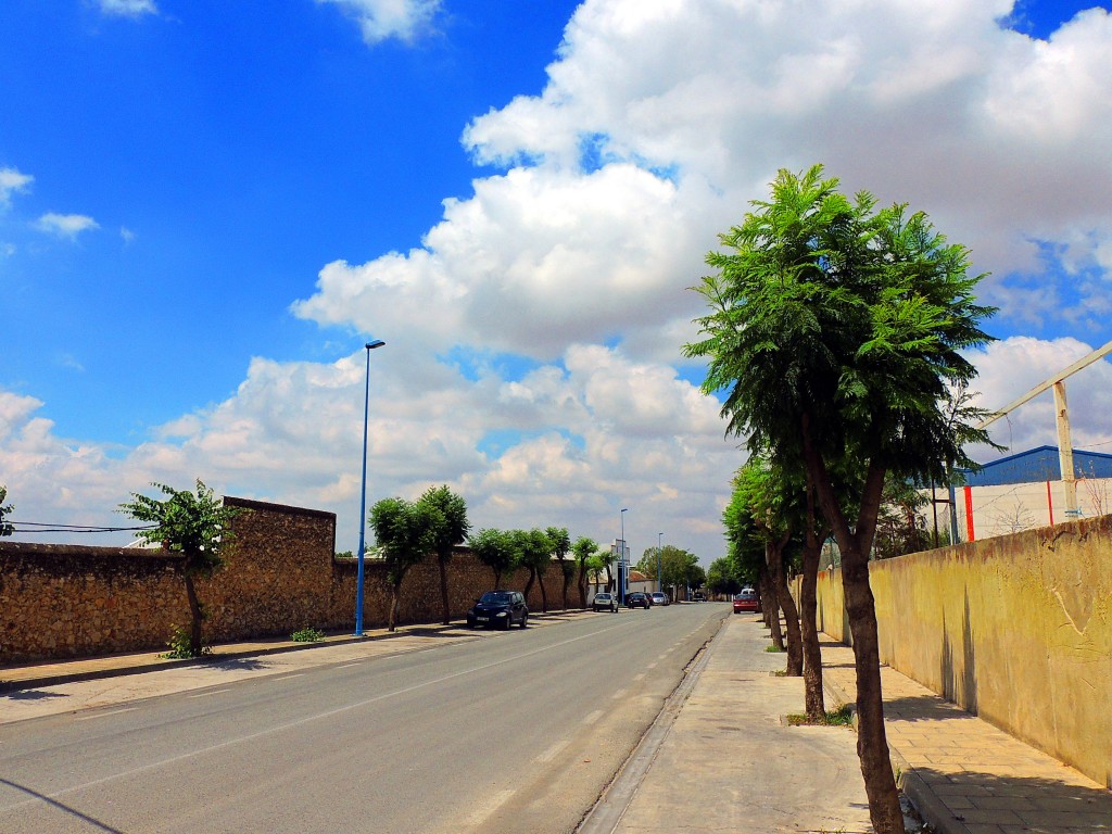 Foto: Carretera de las Cabezas - Montellano (Sevilla), España