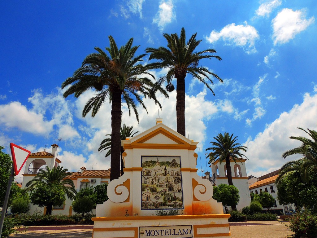 Foto: Alameda - Montellano (Sevilla), España