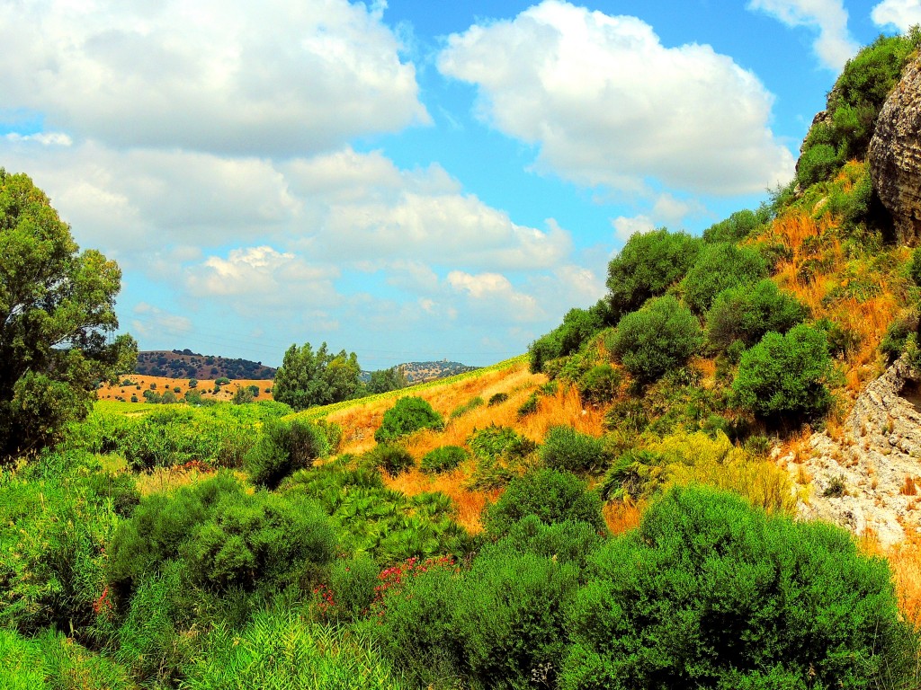 Foto de Montellano (Sevilla), España