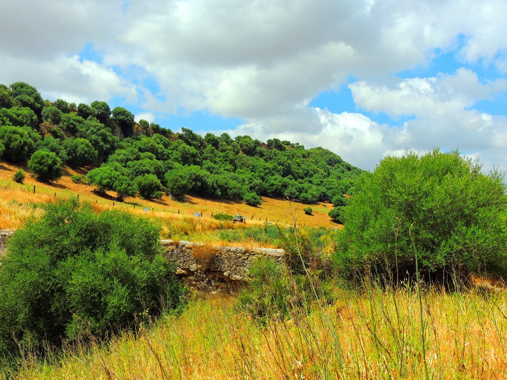 Foto de Montellano (Sevilla), España