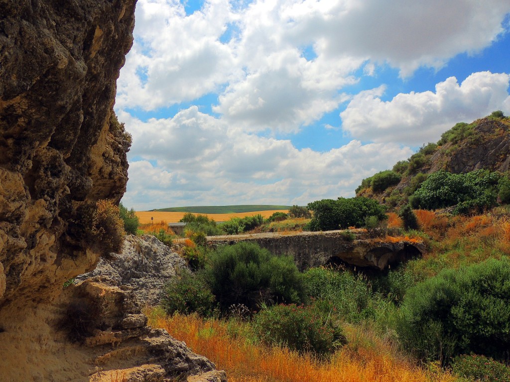 Foto de Montellano (Sevilla), España