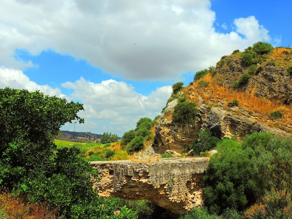 Foto de Montellano (Sevilla), España