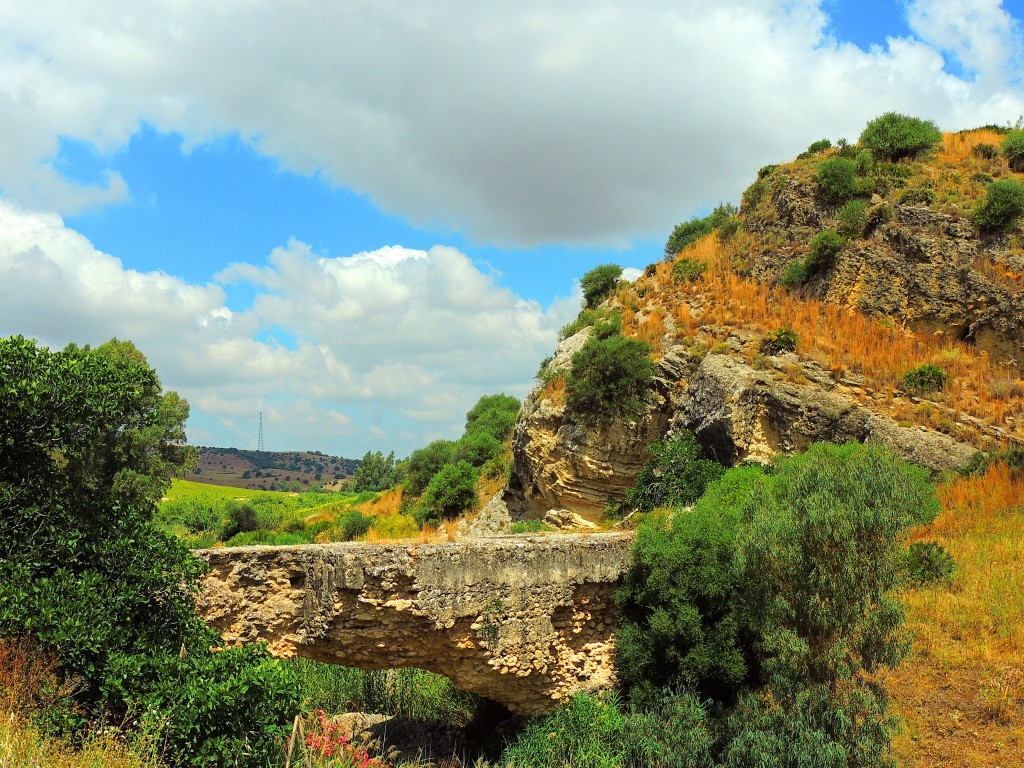 Foto de Montellano (Sevilla), España