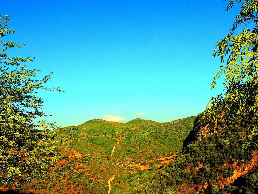 Foto: Arroyo del Huerto - Coripe (Sevilla), España