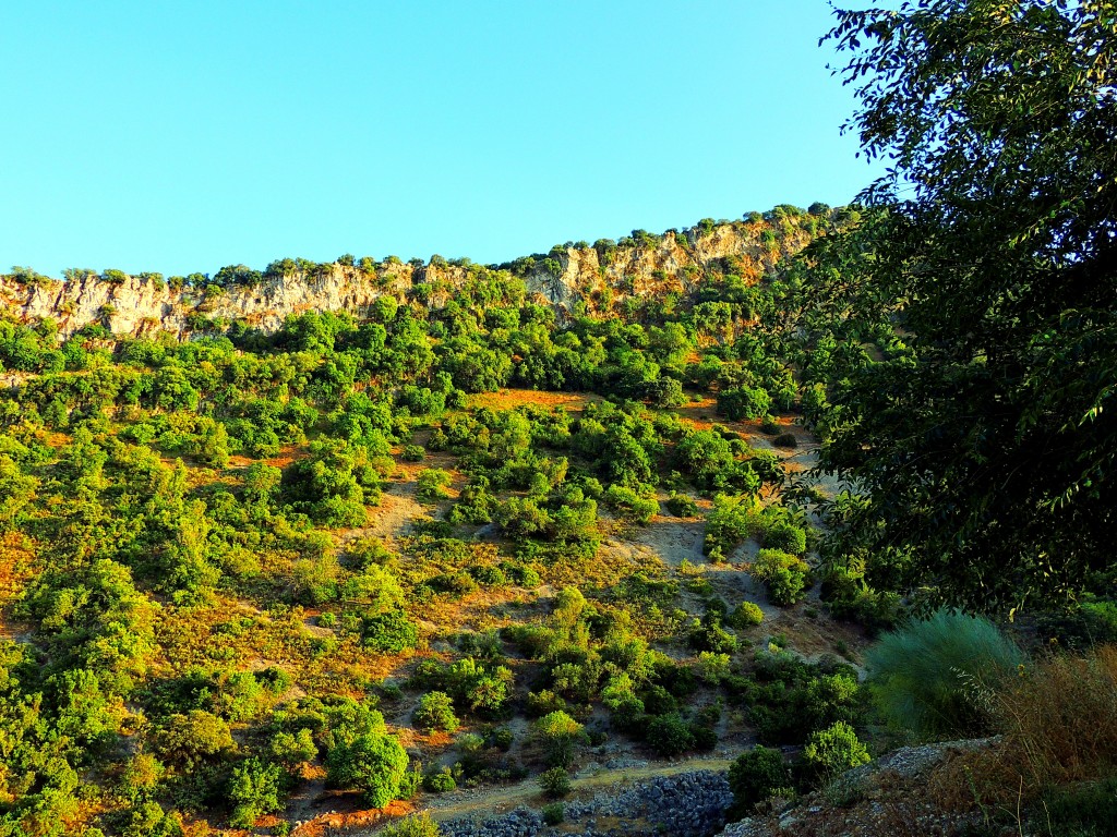 Foto de Coripe (Sevilla), España