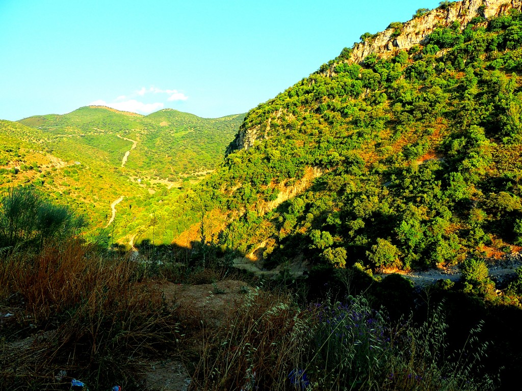 Foto: Vía Verde de la Sierra - Coripe (Sevilla), España