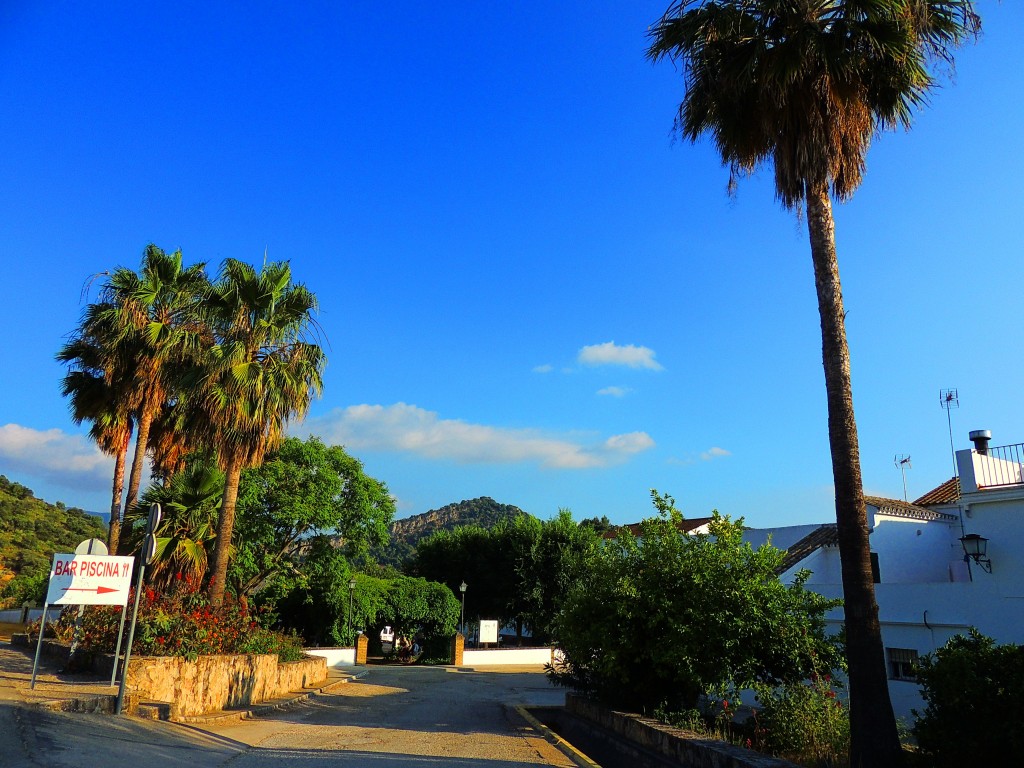 Foto: Jardines Juan Jimenez - Coripe (Sevilla), España