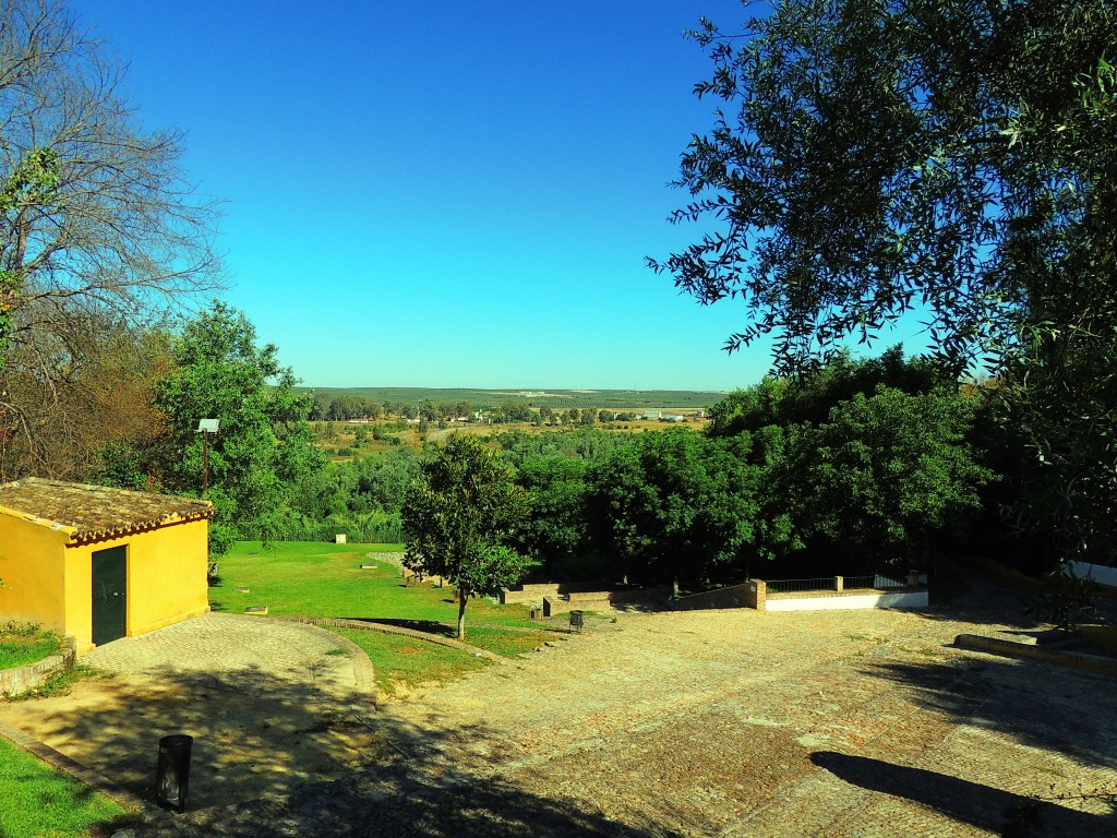 Foto: Panorámica - Aznalcazar (Sevilla), España