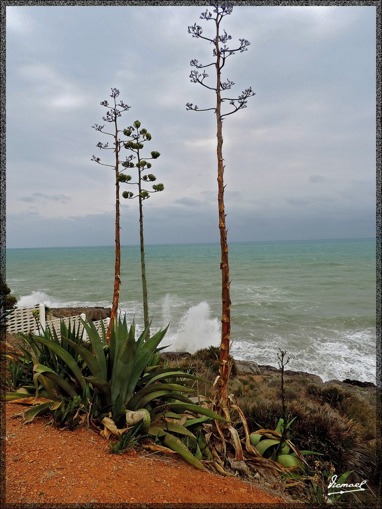 Foto: 140703-10 OROPESA DEL MAR - Oropesa Del Mar (Castelló), España