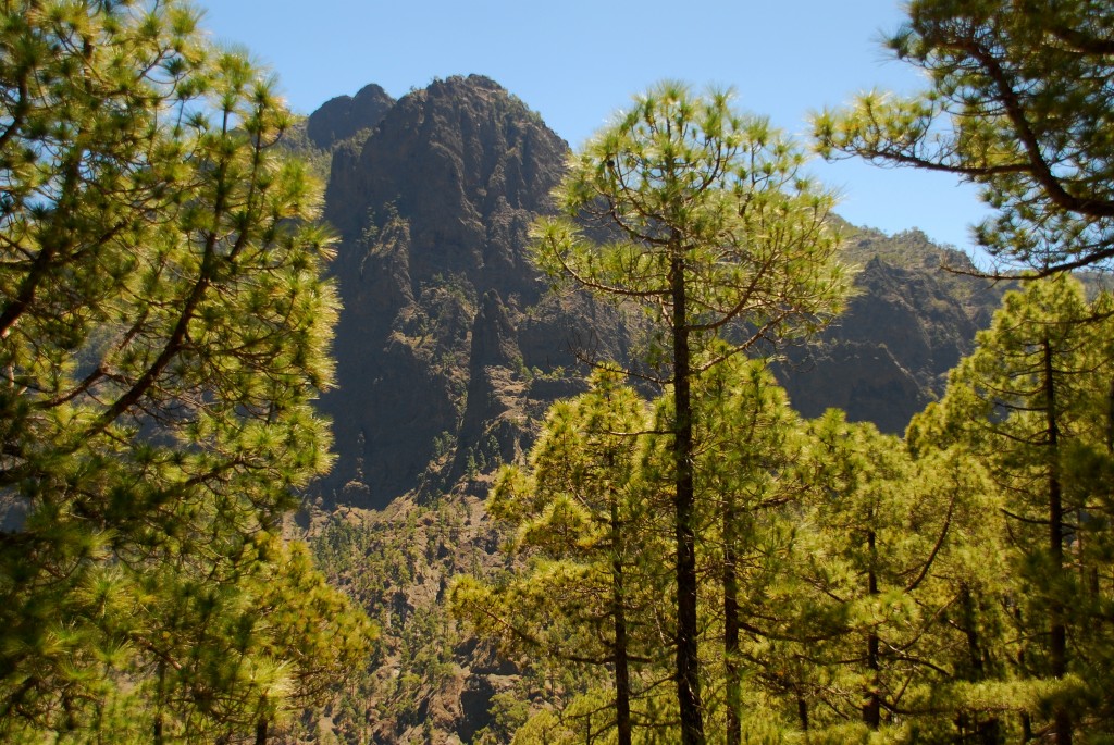 Foto de Caldera de Taburiernte (Santa Cruz de Tenerife), España