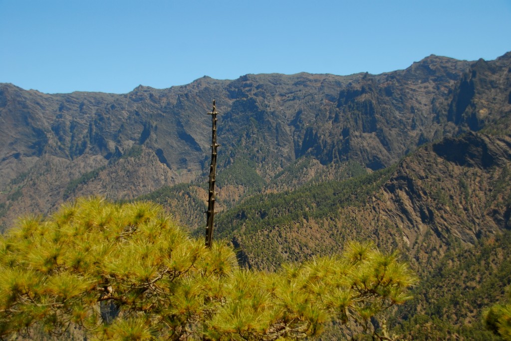 Foto de Caldera de Taburiernte (Santa Cruz de Tenerife), España