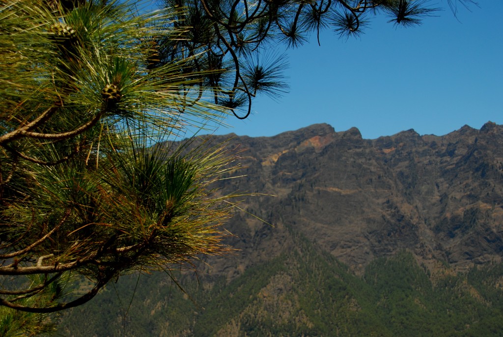 Foto de Caldera de Taburiernte (Santa Cruz de Tenerife), España