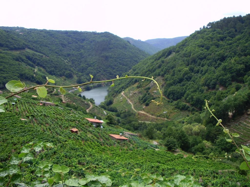 Foto de Chantada (Lugo), España